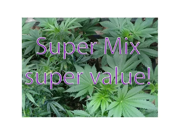 Tropical Super Mix