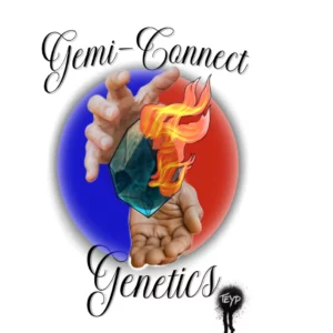 Gemi-Connect